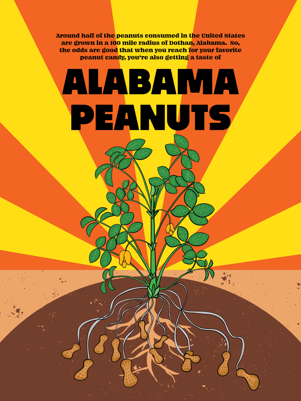 Alabama Peanuts
